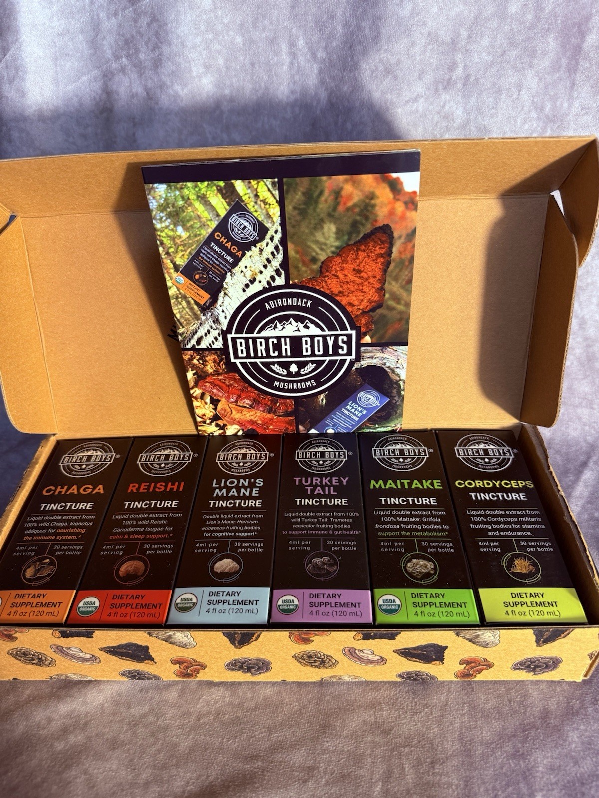 Birch Boys Organic Mushroom Tincture Variety Pack 6×4 fl oz (Chaga/Reishi)