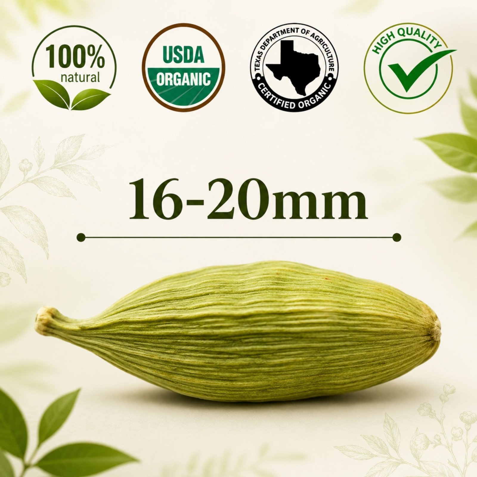 Spicy Organic Green Cardamom Pods 5 lbs | USDA Organic