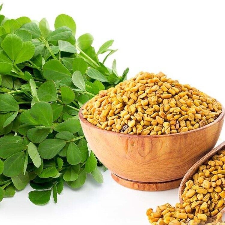 Organic Fenugreek Seeds Srilanka High Quality Herbs natural Spices Uluhal 100 G
