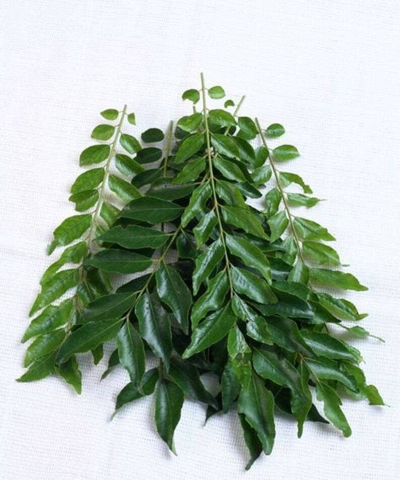 Fresh Dried Curry Leaves 100% Pure Natural Organic A Grade Quality 200g Packets