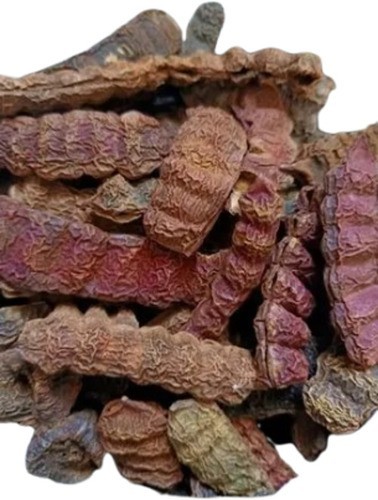 Organic Whole Dried Shikakai for Hair 100% Natural for Gentle Cleansing