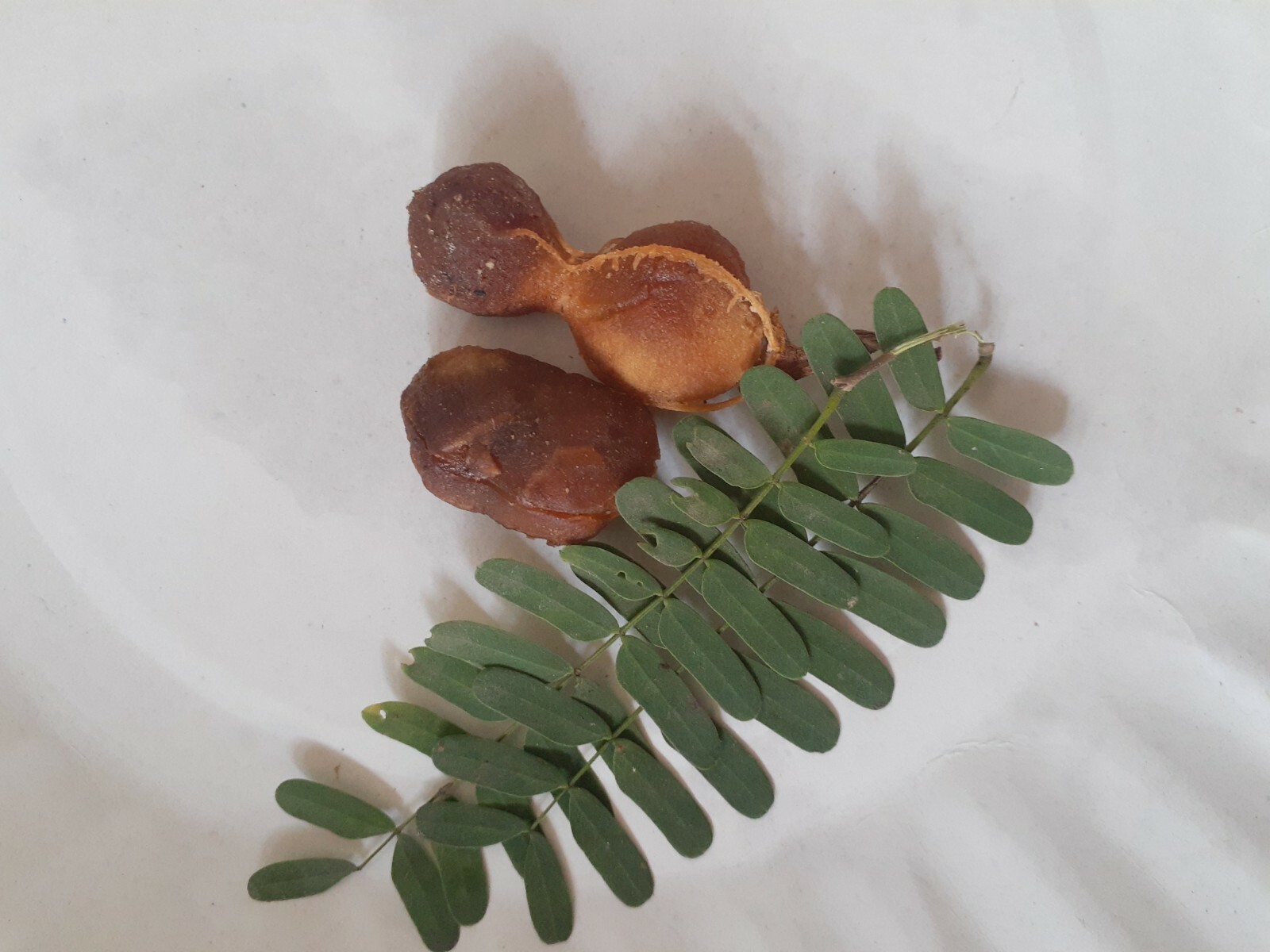 100% Natural Ceylon Dried Seedless Tamarind 50g Healthy Sun Dried