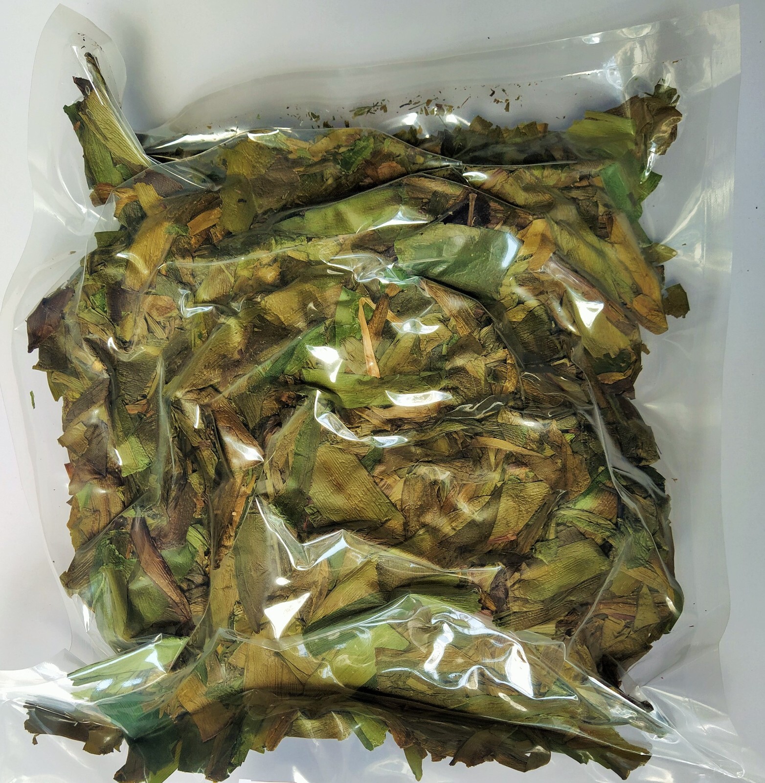 Barbados Lily Hippeastrum puniceum Dried Herb Parts – Wal Lunu 3.5-26.5oz