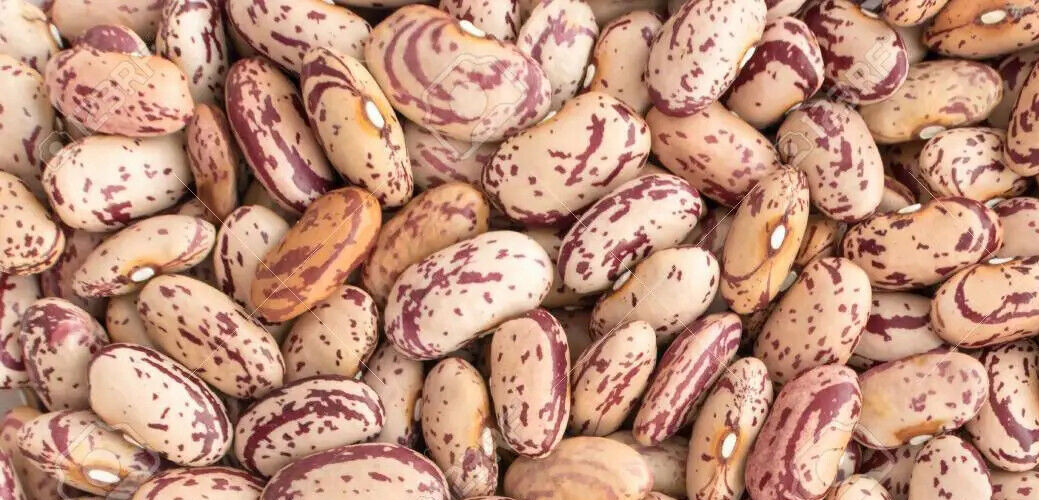 Pinto Beans Dry Frijoles Pintos Bulk 3 lb. bags. Non-GMO Pantry Storage Food