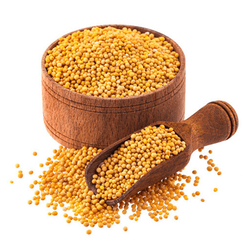 Natural Yellow Mustard Seeds Indian Spices For Cooking Food Fish Ect Whole Dry