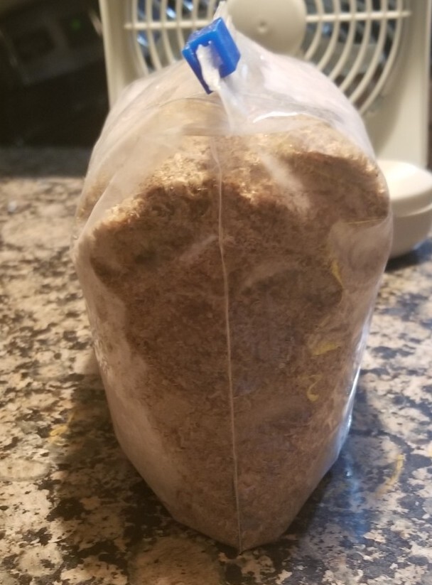 Premium Quality Crayfish. Dried, Ground. 4 Cups(12 oz) Sandless Crayfish