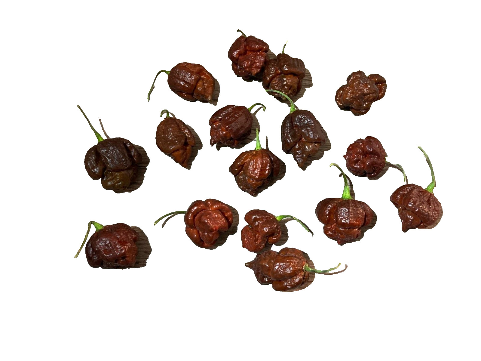 Super hot pepper powder 1 oz. reaper, moruga, dragon’s breath, bhutlah, etc