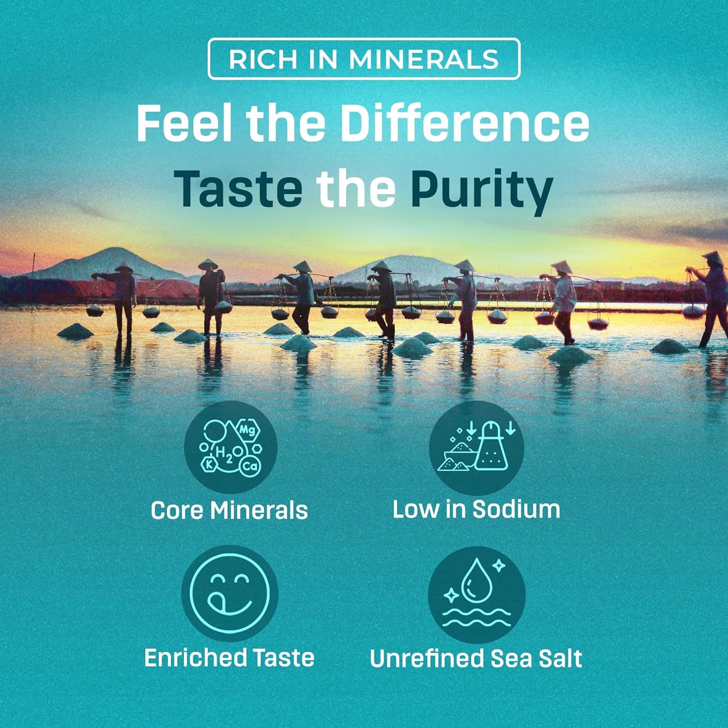 Birdee Baja Sea Salt 2.2 lb Fine Ground, 35.2 Ounce (Pack of 1)