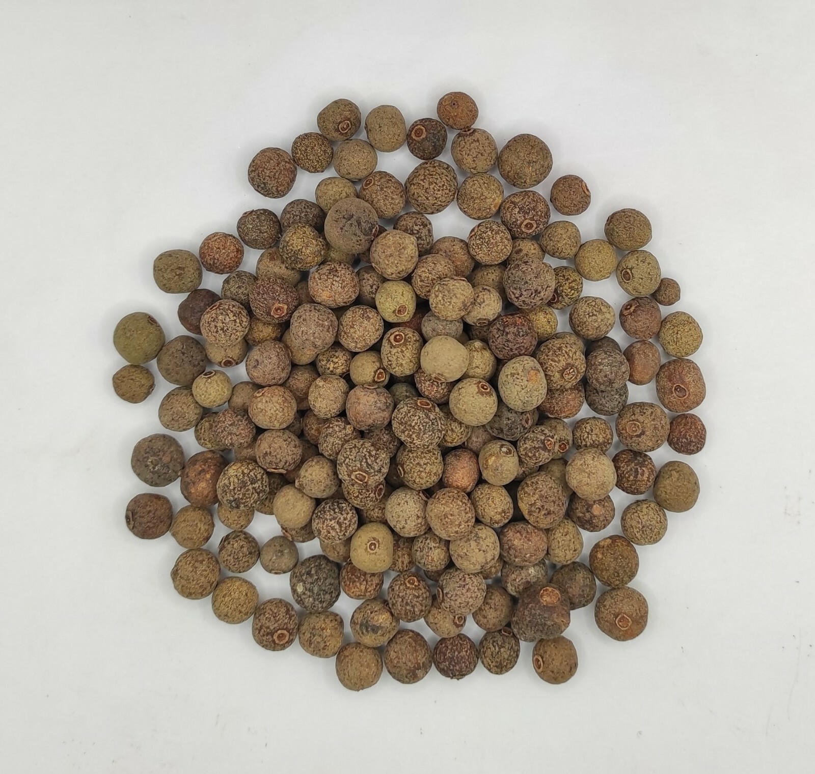 Allspice Pimento Whole Seeds 85g(3 oz) – 1,95kg(68.8 oz) Pimenta dioica