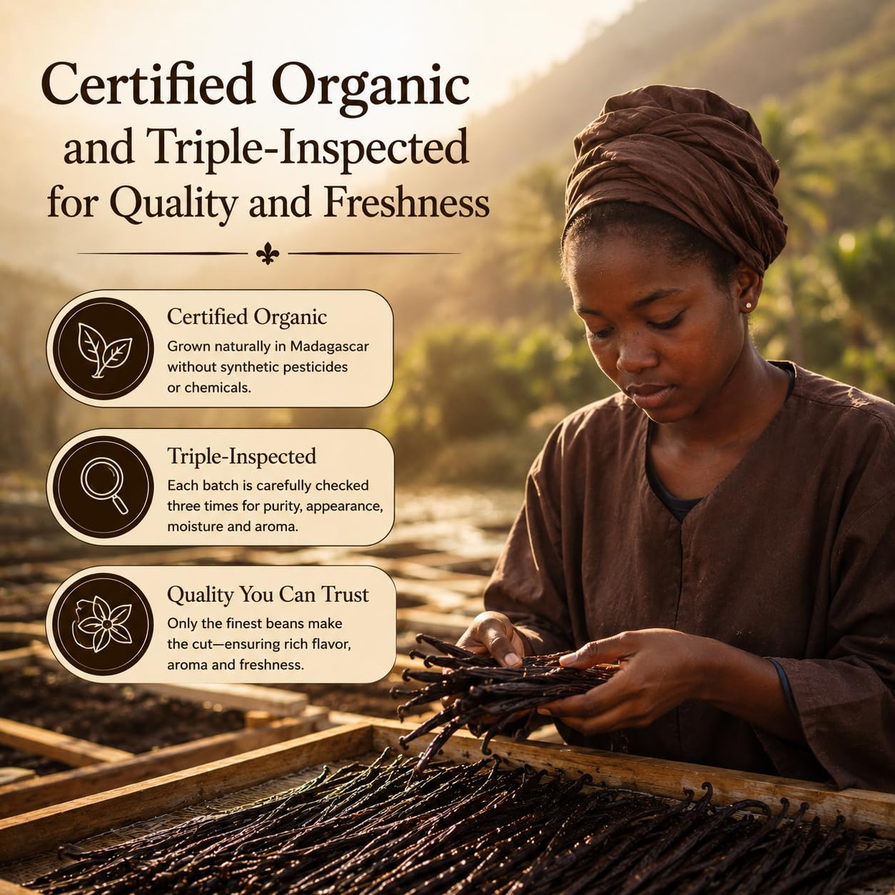 50 Organic Madagascar Vanilla Beans. Whole Grade a Vanilla Pods for Vanilla Extr