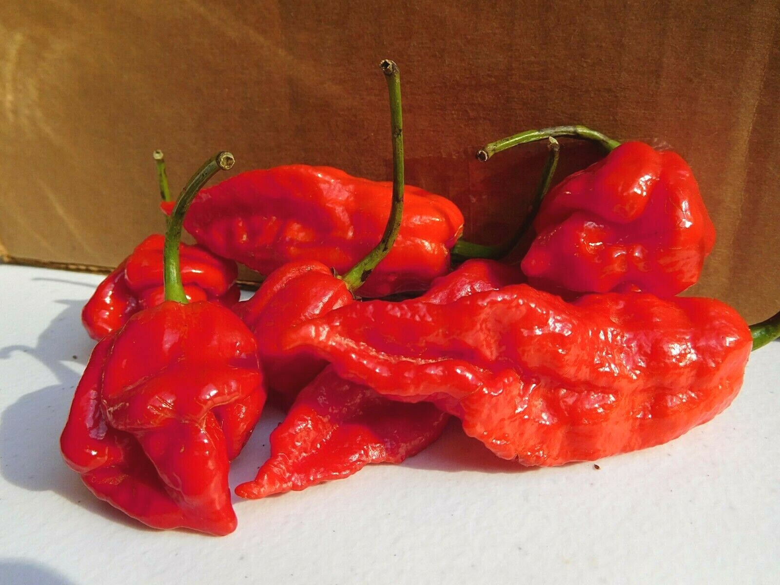 Dried Super Hot Peppers – Carolina Reaper / Ghost / Scorpion – Whole,Grown in TN