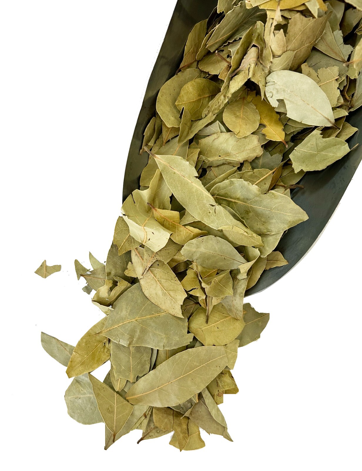 Dried Whole Bay Leaf Leaves (Laurus Nobilis) Multi Weight Bulk Wholesale