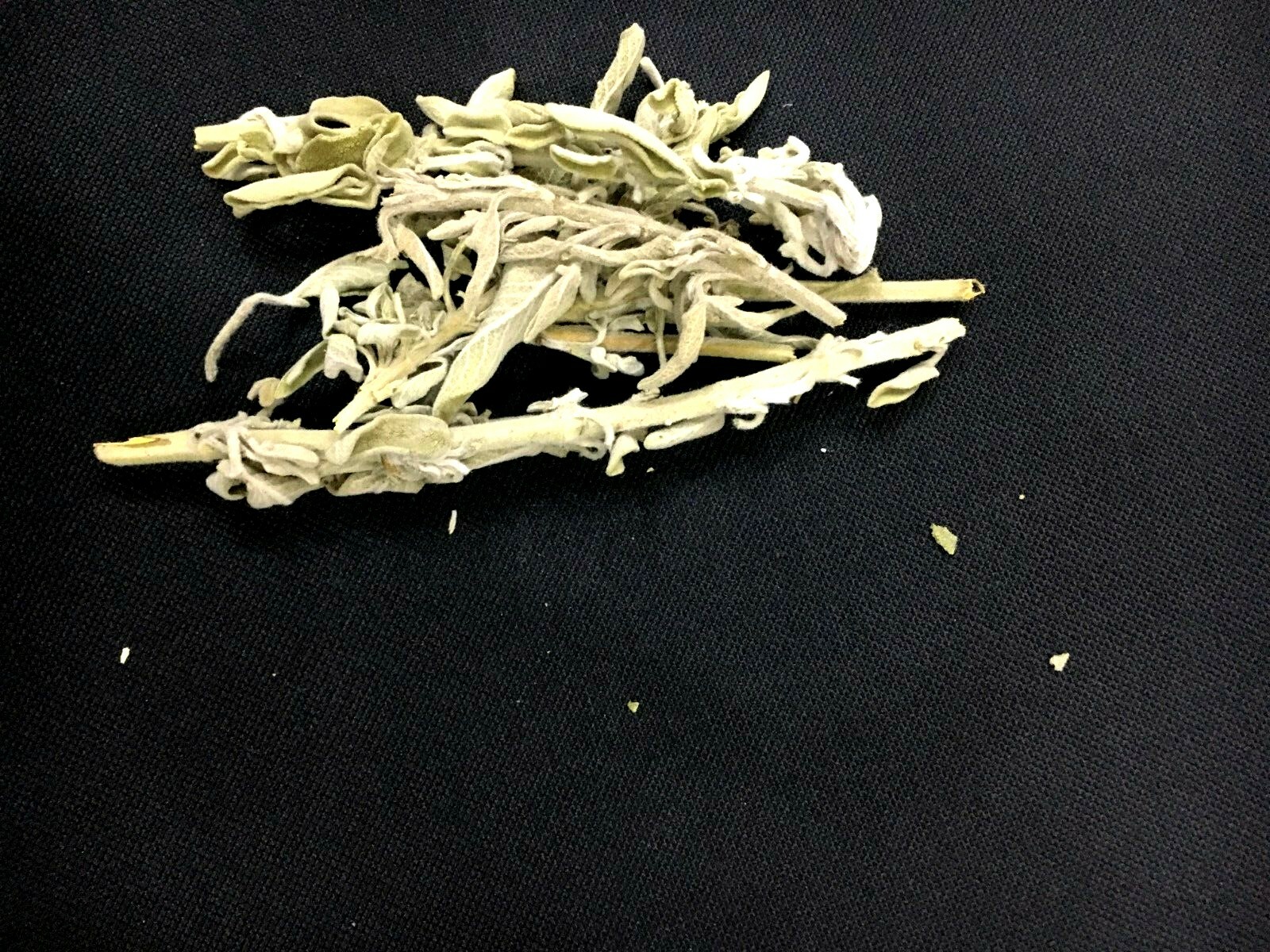 Sagebrush mirmia Natural Organic Palestine Hand Made Holy Land 55g Herbalists