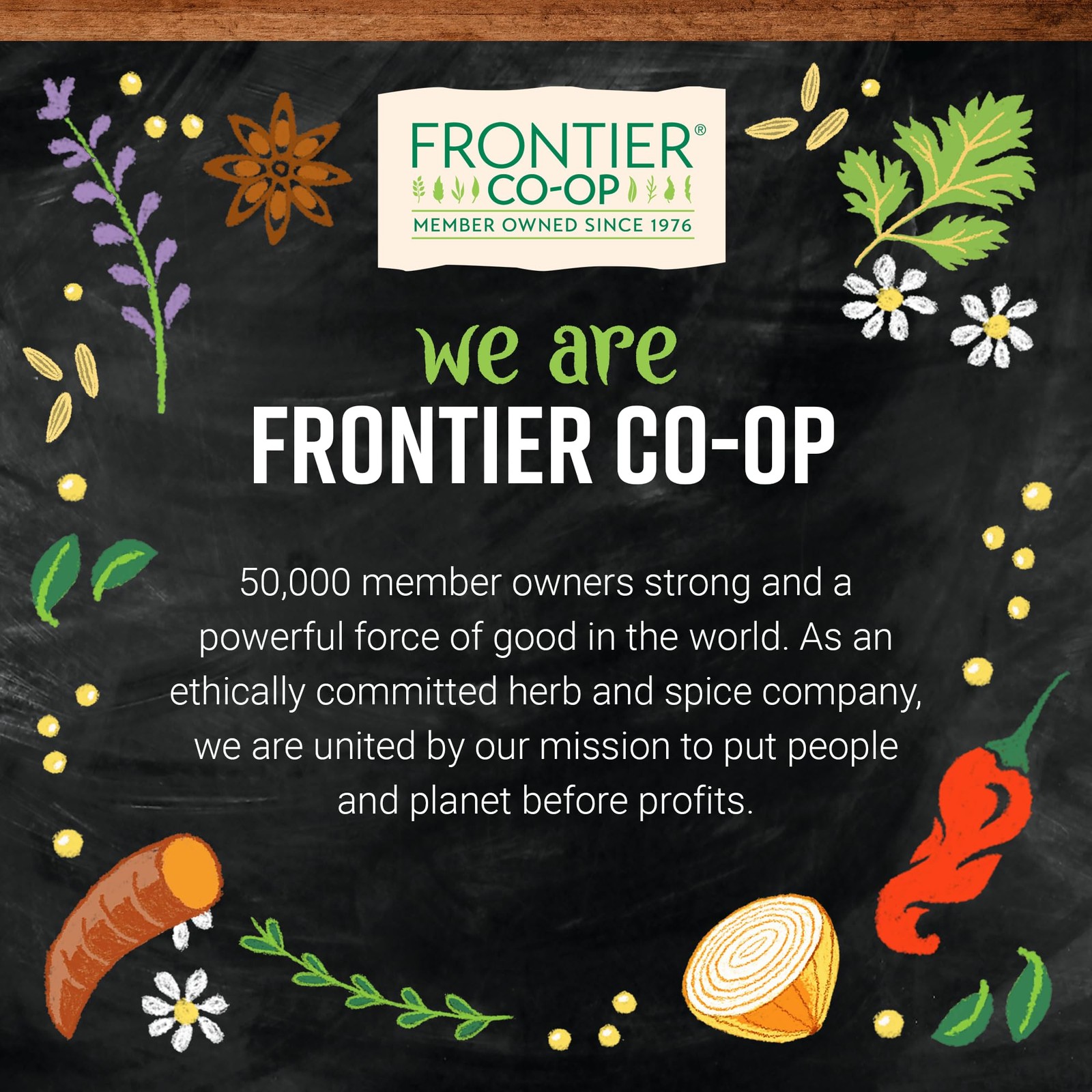 Frontier Co op Chili Powder Blend Spice for Mexican Indian and Asian Cuisine
