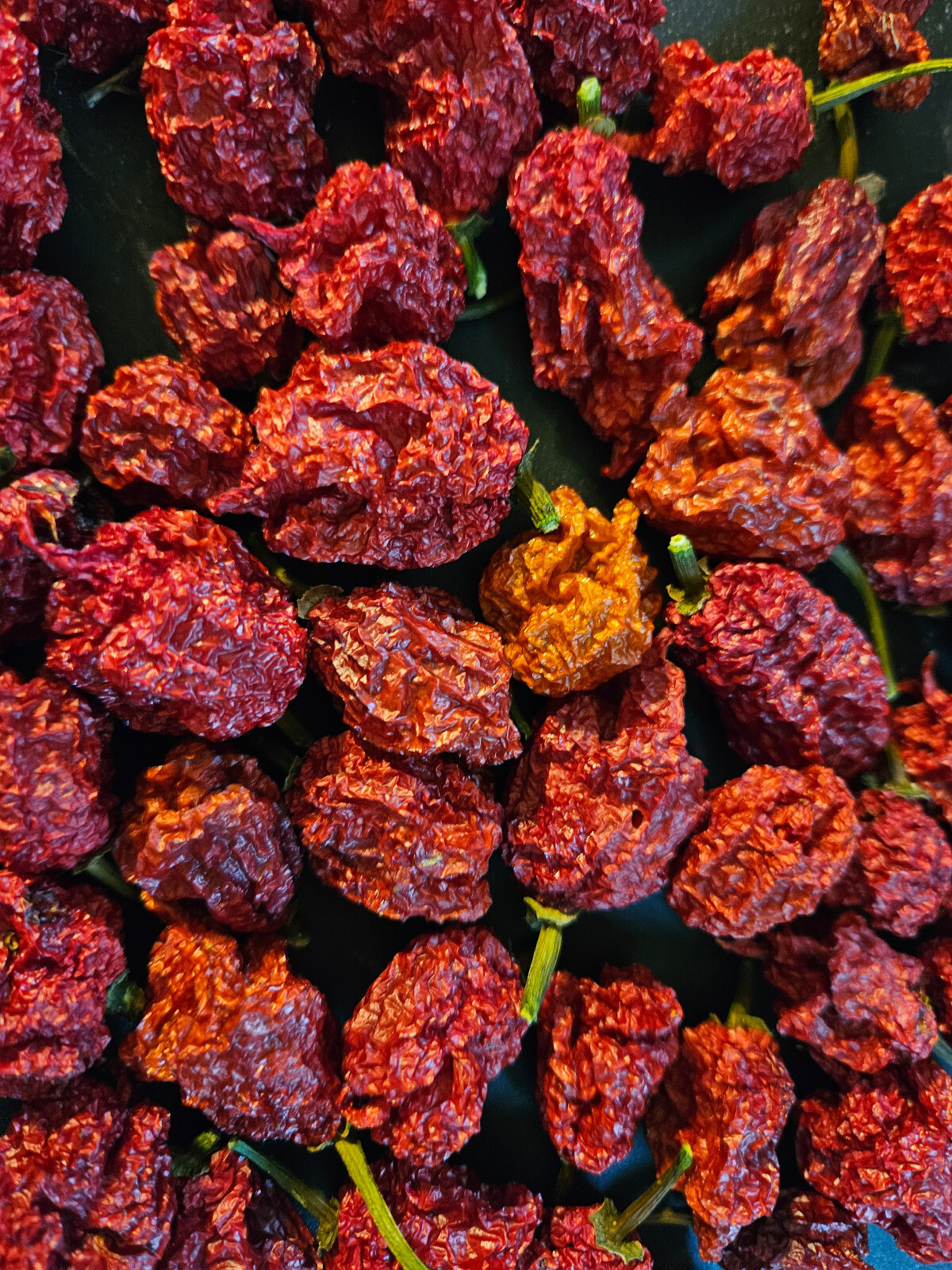 USA Dried Organic Carolina Reaper Peppers. 20 Peppers in a Resealable Pouch.