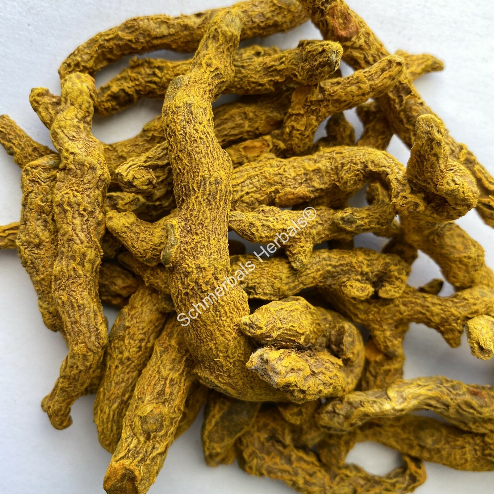 Turmeric, Curcuma longa, “Common Turmeric” Pieces ~ Schmerbals Herbals