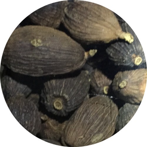Black Cardamom Tsao Ko Spice King Vietnam Lanxangia tsao-ko 30 g 1.05 oz