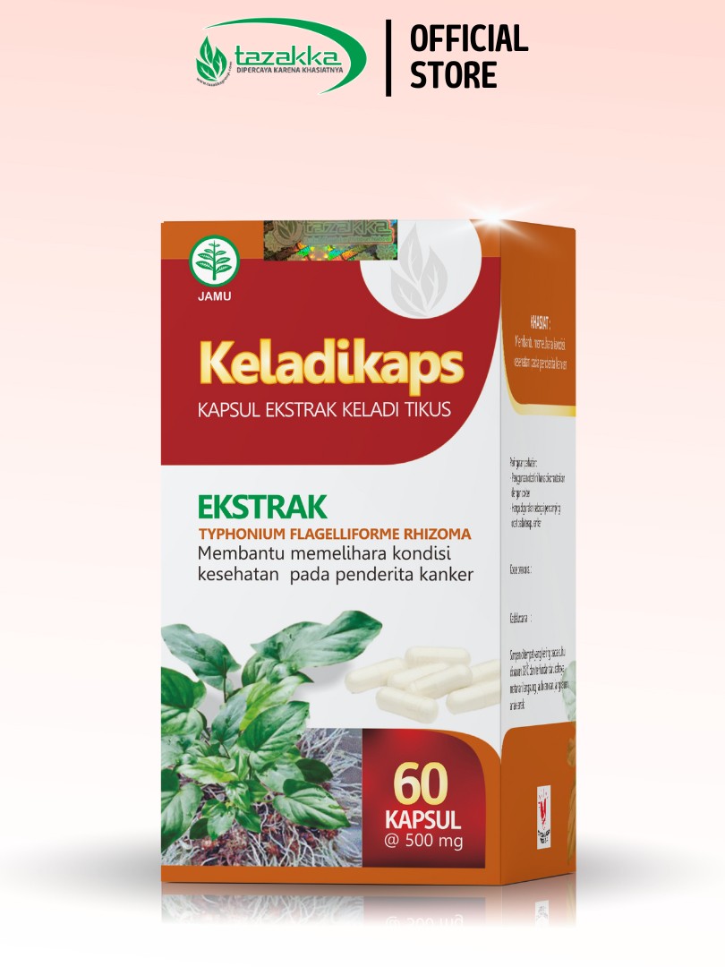 3x Keladi Tikus Root Extract Capsules 60s Bottle Bundle 300g – herbal bundle