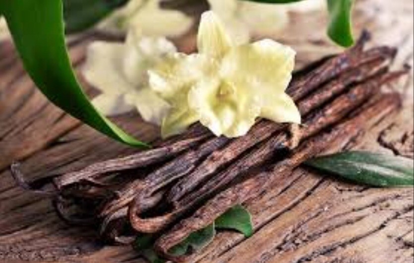 Fresh sri lanka Grade A Organic Bourbon Vanilla Beans 10 pods free shipping