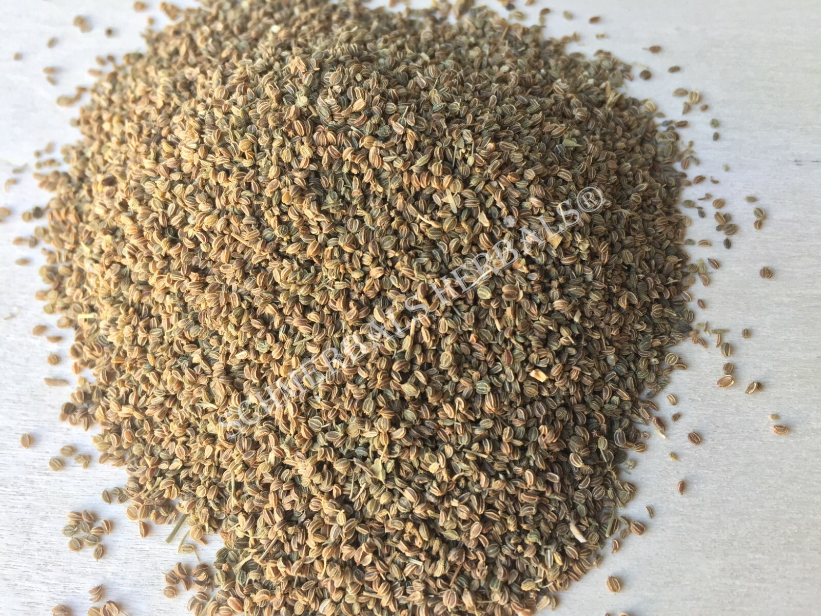 Celery Seed, Apium graveolens 1 oz Free Shipping ~ Schmerbals Herbals