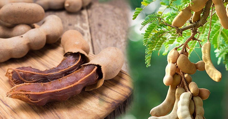 Tamarind (Siyabala) paste Pure 100% Natural High Quality Spices