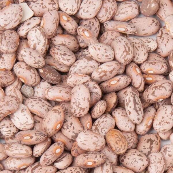 Dry Bulk Pinto 5 Pounds Certified Kosher & Non-GMO
