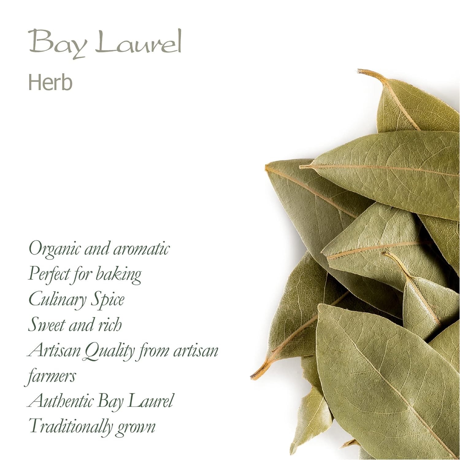 Organic Bay Leaf Herb – Culinary Quality