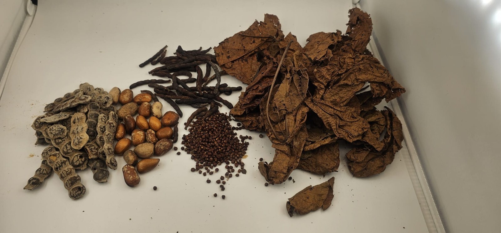Djeka leaves/Selim pepper/Nepnep/Calabash nutmeg /Guinea pepper Kit