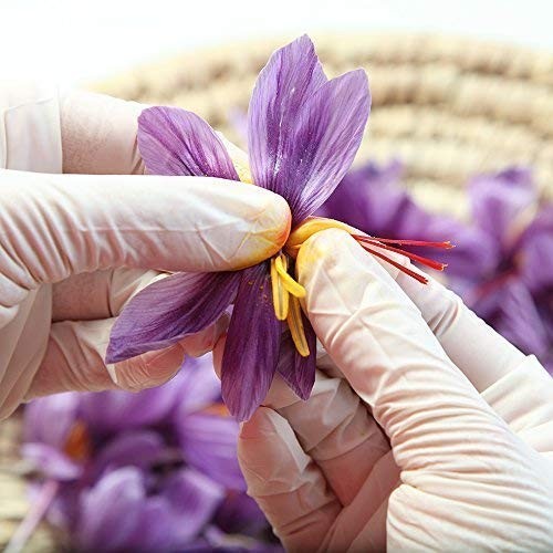 Easy-to-Use Saffron Powder – 10 Individual Servings for Drinks & Meals
