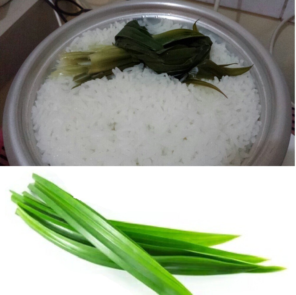 100% natural high quality rumpe leaves that enhance the taste and aroma of food