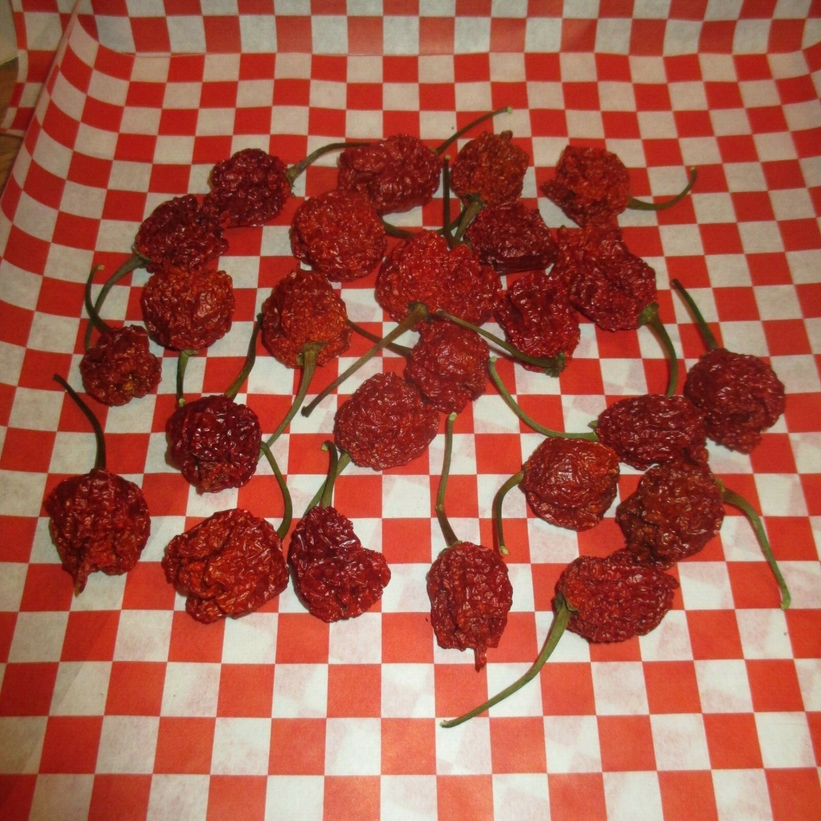 Lot of 24 (TWO DOZEN) DRIED CAROLINA REAPER PODS Super Hot Pepper