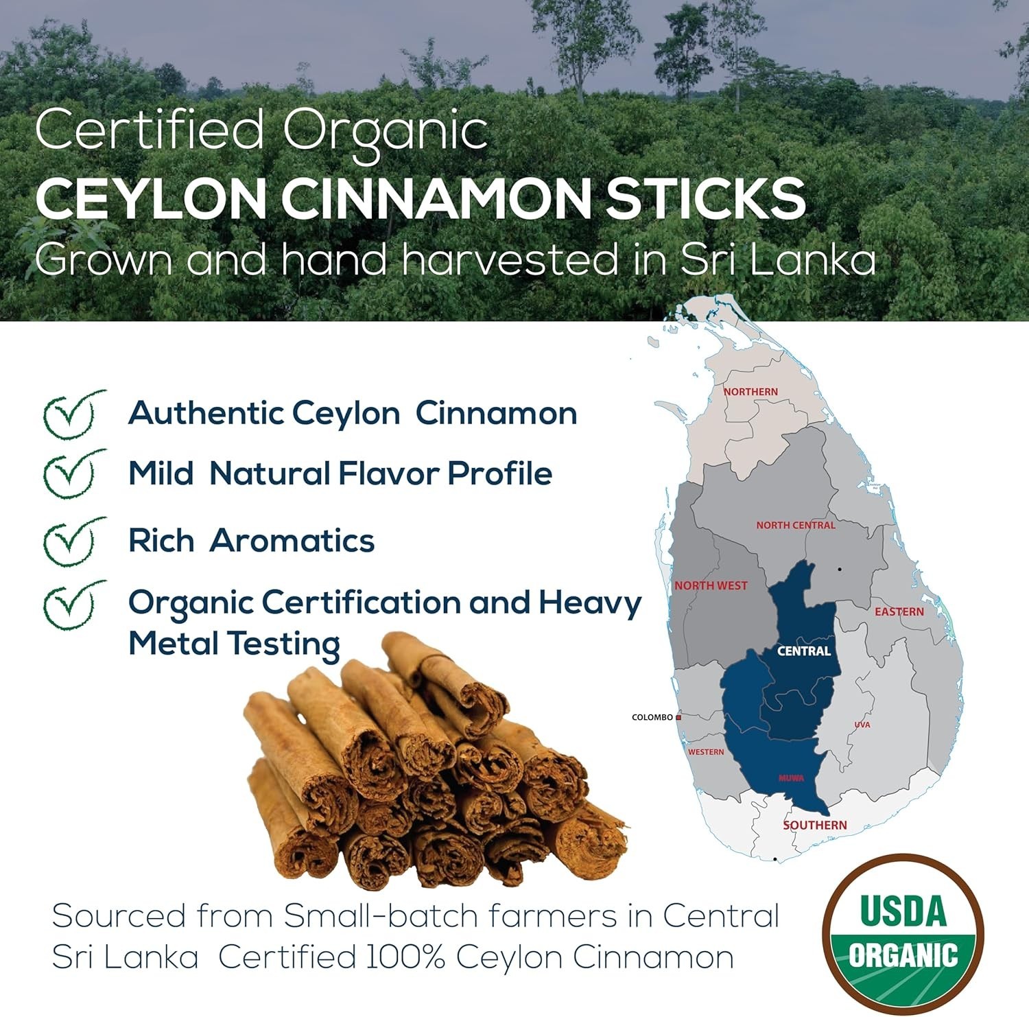 Ethically Sourced Ceylon Cinnamon Sticks – Non-GMO, Gluten-Free, Quality