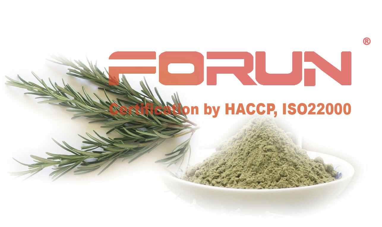 FORUN Premium Rosemary Powder (Ground) – Fresh Green