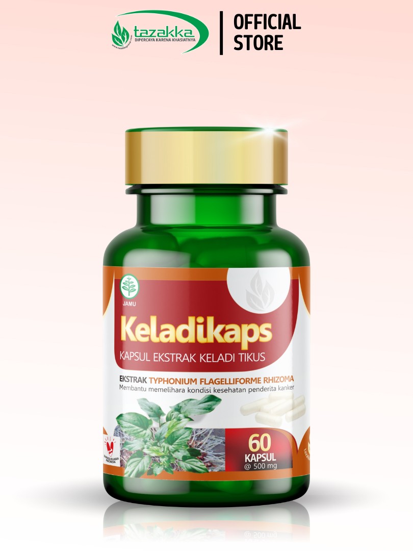 3x Keladi Tikus Root Extract Capsules 60s Bottle Bundle 300g – herbal bundle