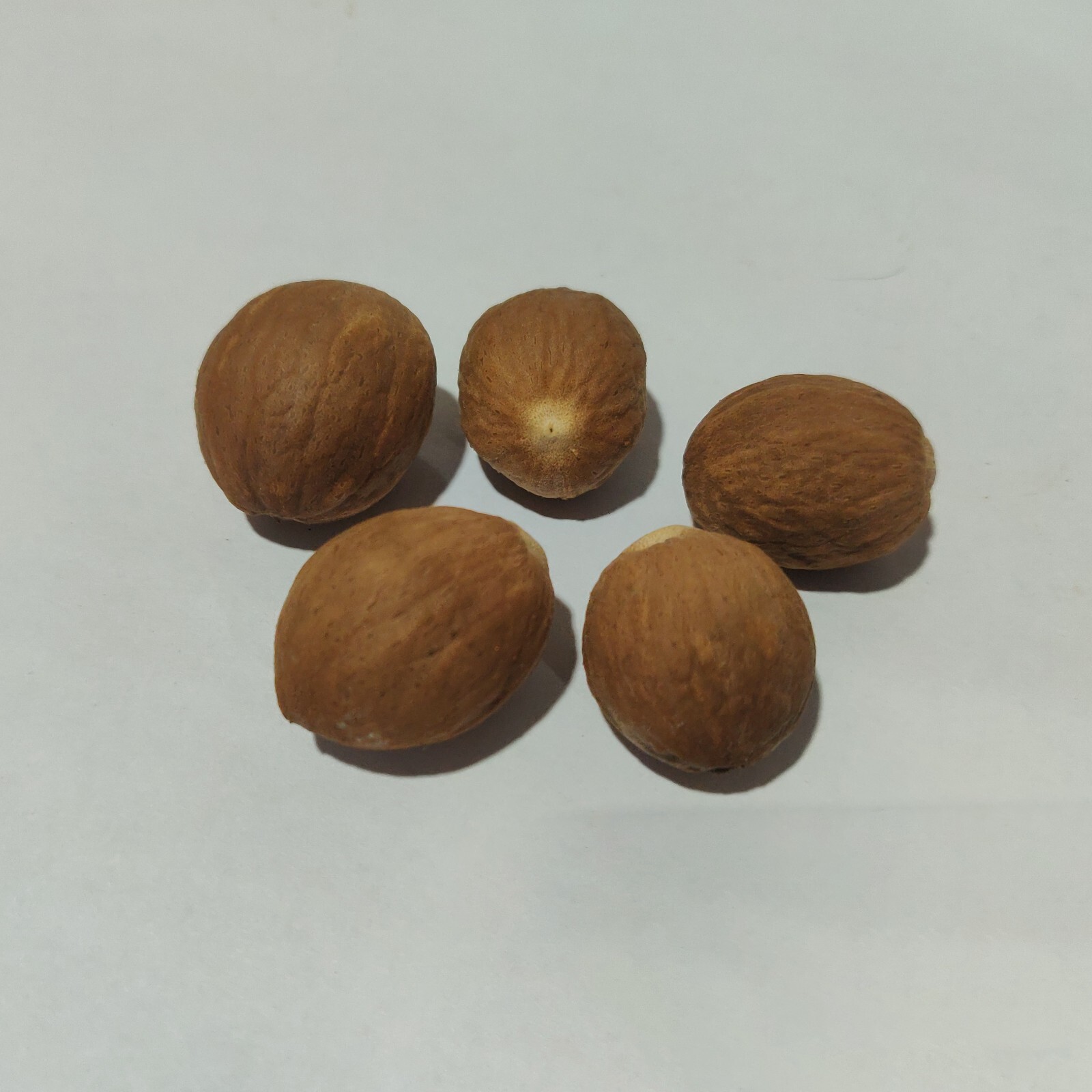 Dried Organic whole Nutmeg without shell – 100g – Free Shiping