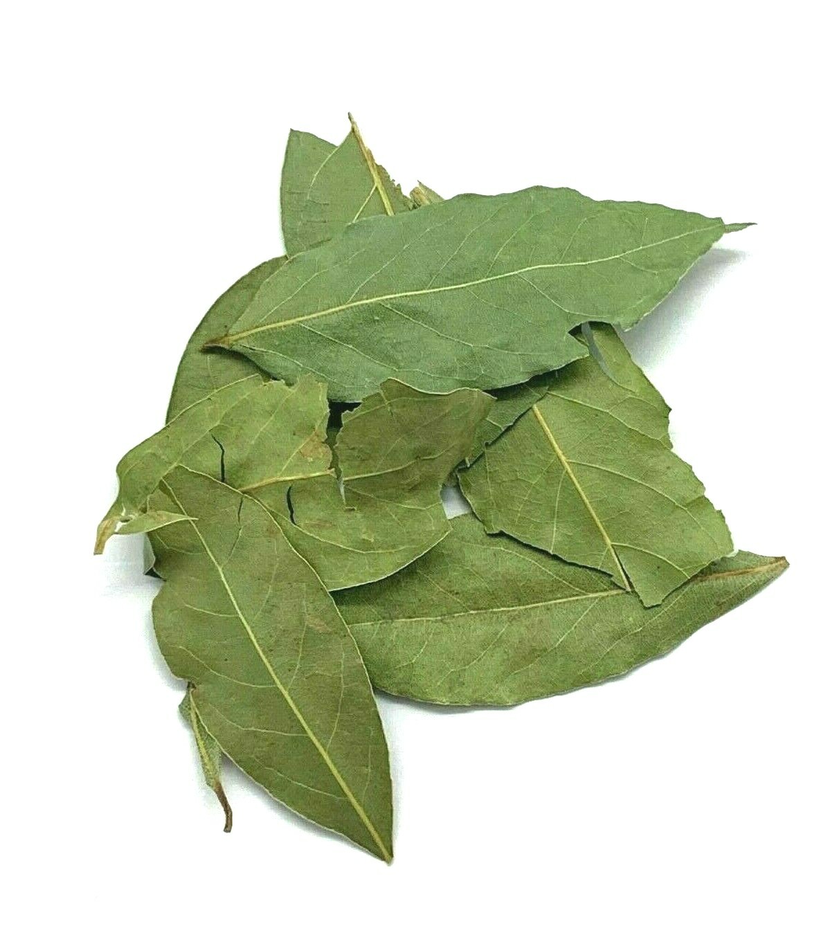 Bay Leaf | Organic Pure Fresh Premium Quality Laurus Nobili’s Palestinian Herbs