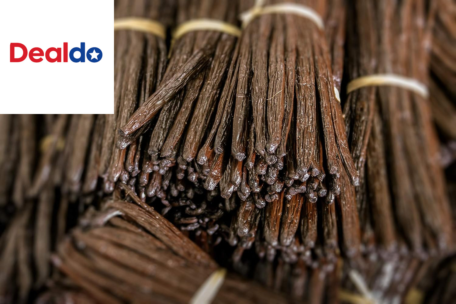 10 Organic Madagascar Whole Grade a Vanilla Pods for Vanilla Extract and Baking