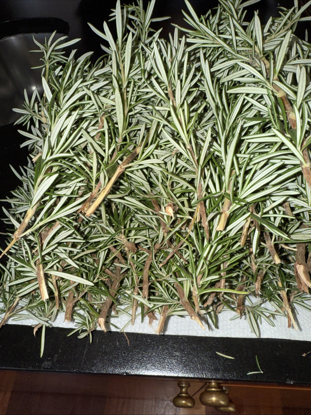 100 Stems Fresh Organic Rosemary, 100 Cuts Fresh To Order For $90.00,USA