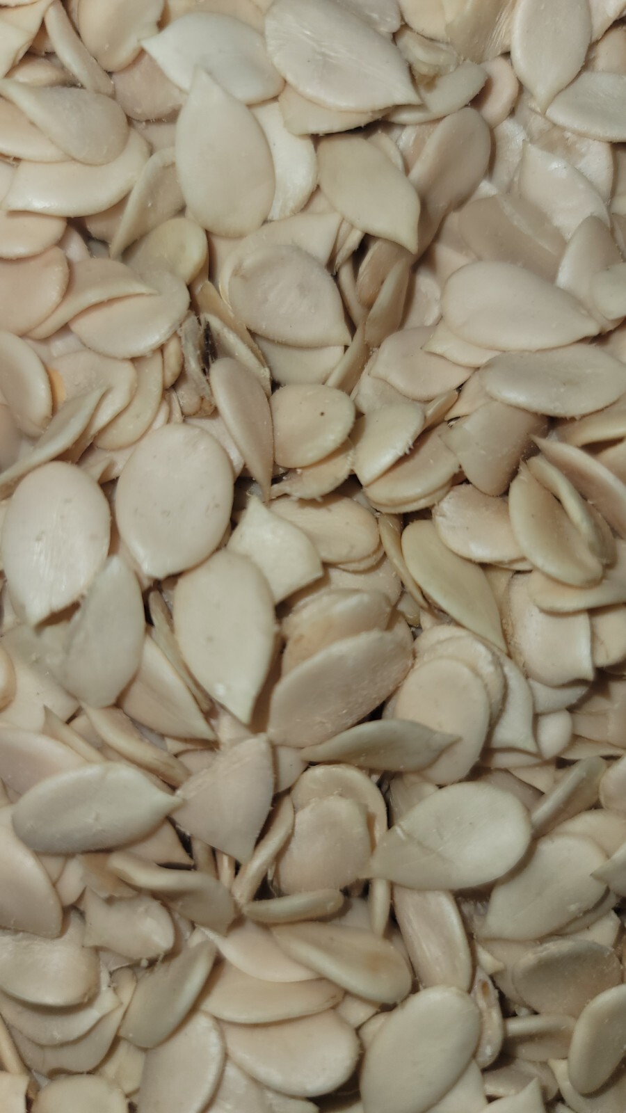 Whole EGUSI Melon Seed- 10oz. Freshly from Africa – High Quality Organic