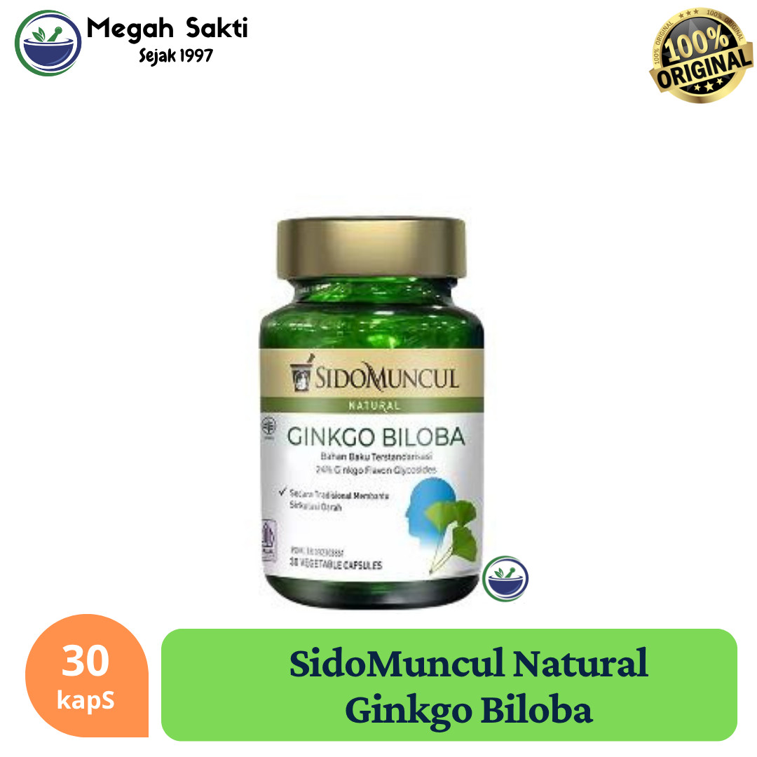Ginkgo biloba capsules 30s botanical herbal supplement