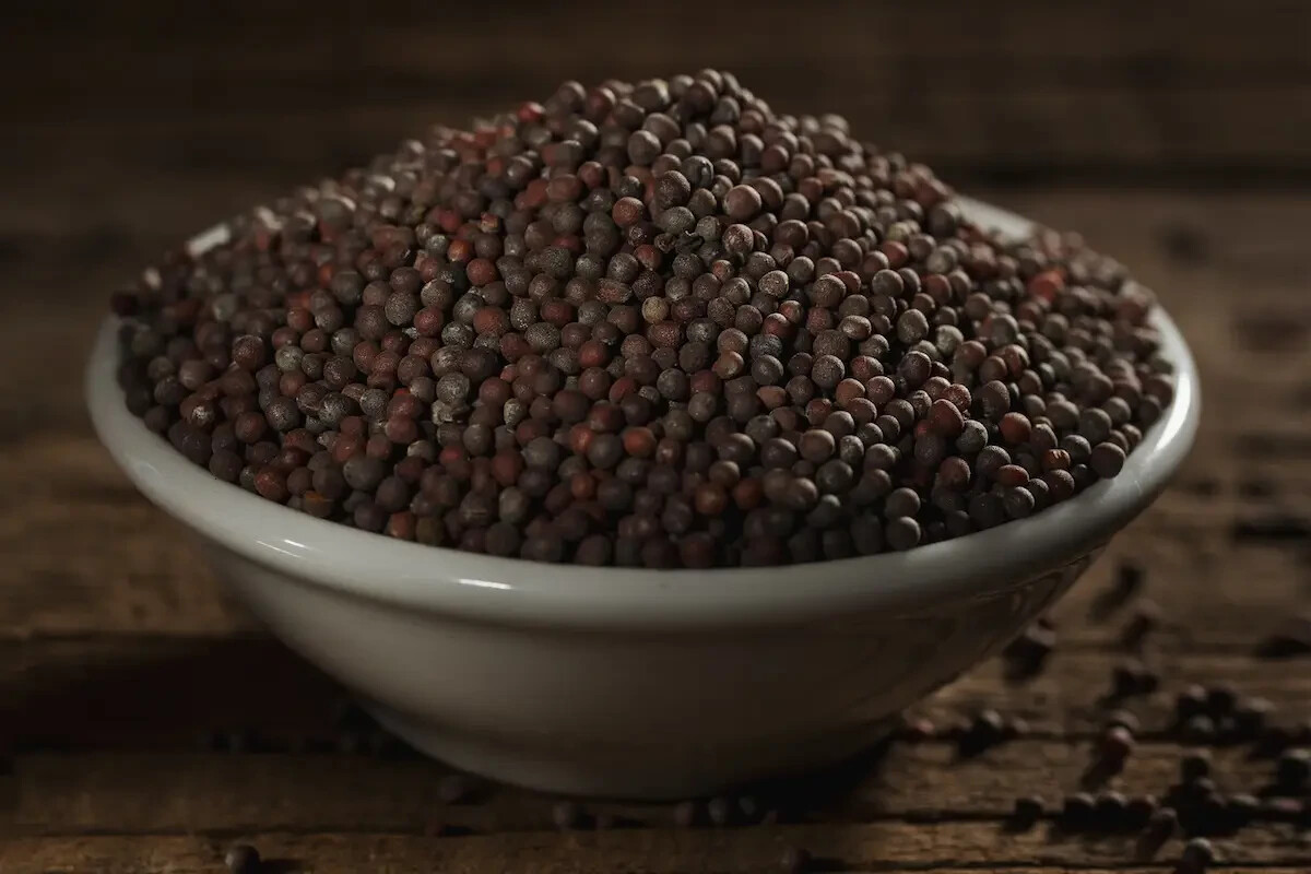 Ceylon Mustard Seeds Pure Natural Healthy Organic Sri Lanka Free Shipping