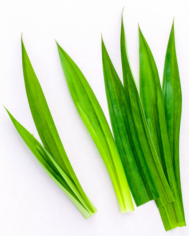 Pandan -Dried Leaves -Sri Lankan High Quality– 100% pure organic Rampe – 125g
