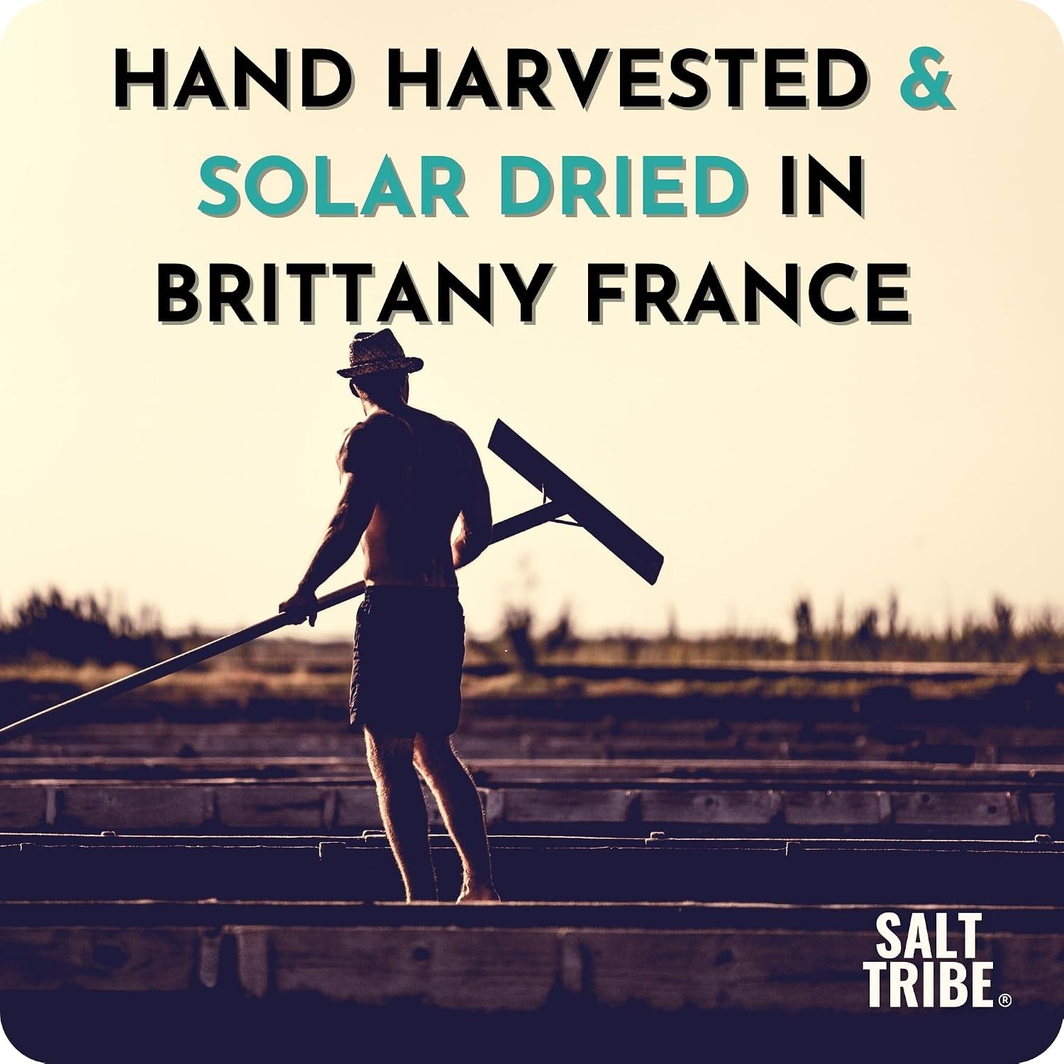 Brittany Hand Harvested Sea Salt | Fine Ground | 15 oz, Organic, Low Sodium