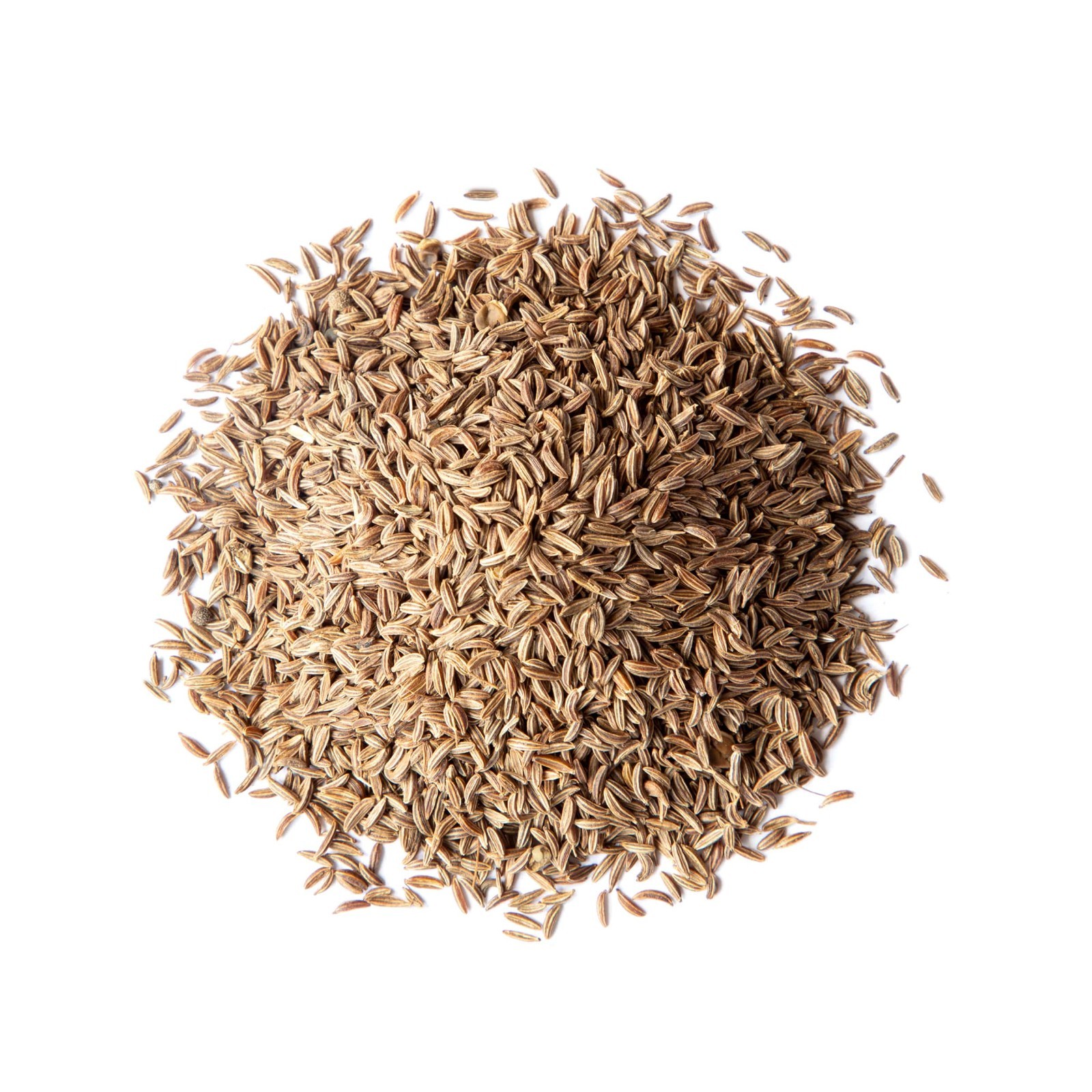 Caraway Seeds – Kosher, Raw, Vegan – by Food To Live