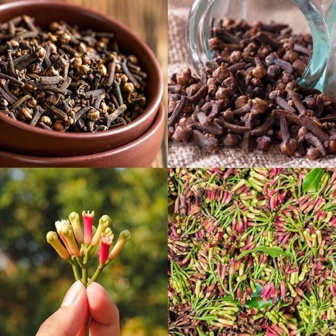 Bague Fresh Raw Organic Whole Cloves laung – 100 Grams