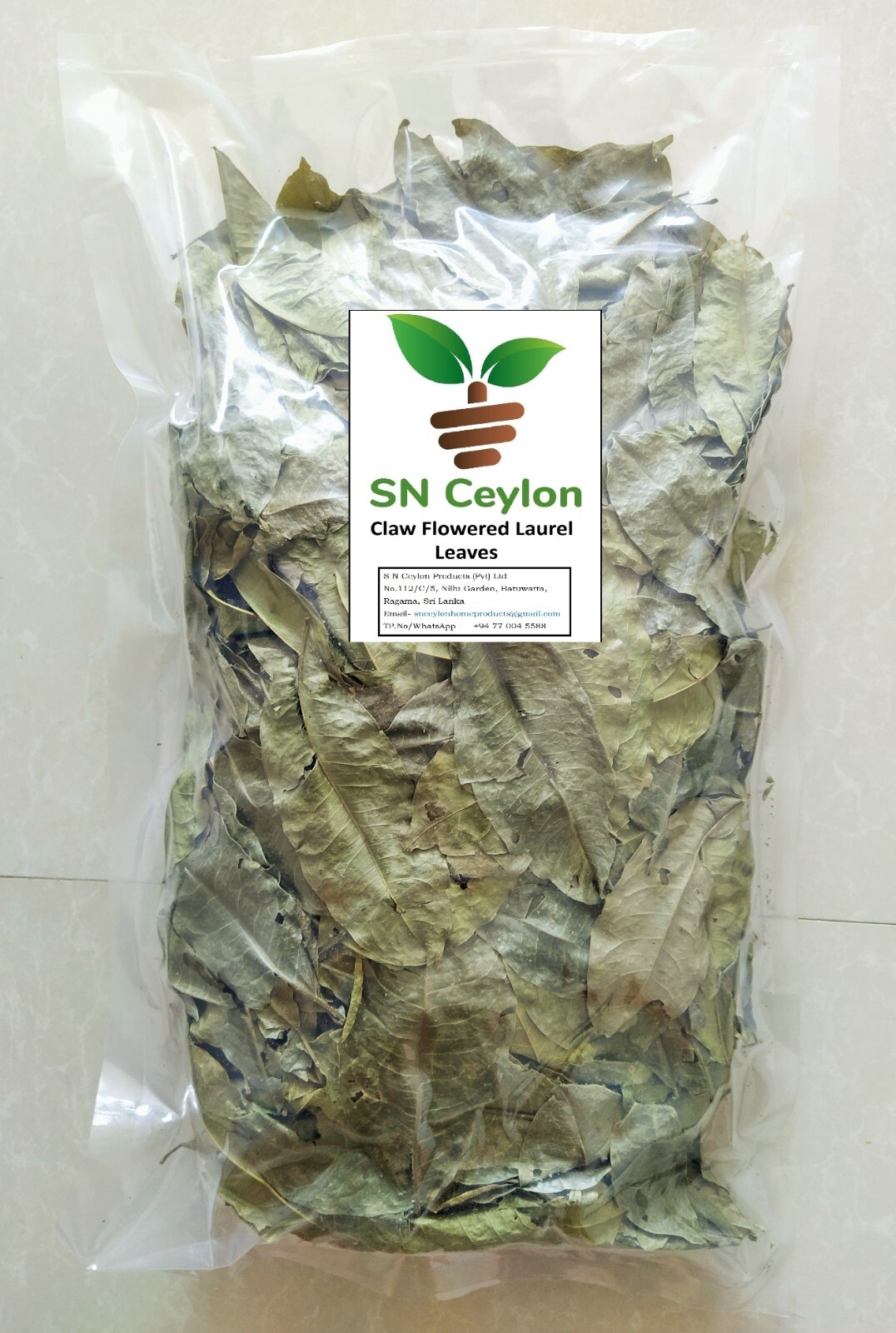 Claw Flowered Dried Laurel Ankenda Acronychia Pedunculata Muttanari 3.5-26oz
