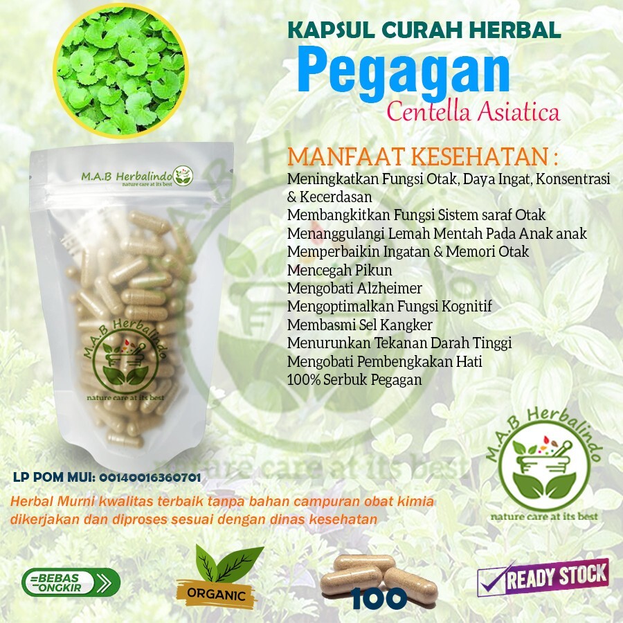 PEGAGAN ANTANAN Capsule Natural Organic Herbs Spices Fresh Pure Hygienic Premium