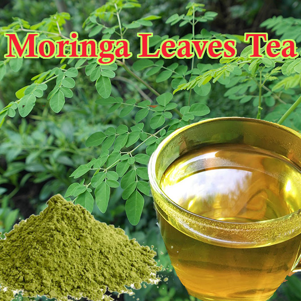 Moringa Tea Organic Leaf Natural Powder Dried Pure Ceylon Leaf/Leaves NEW