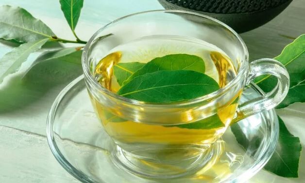 Bay Leaf Tea for Hair 20, Fresh Organic Bay Leaves Leaf, Fresh