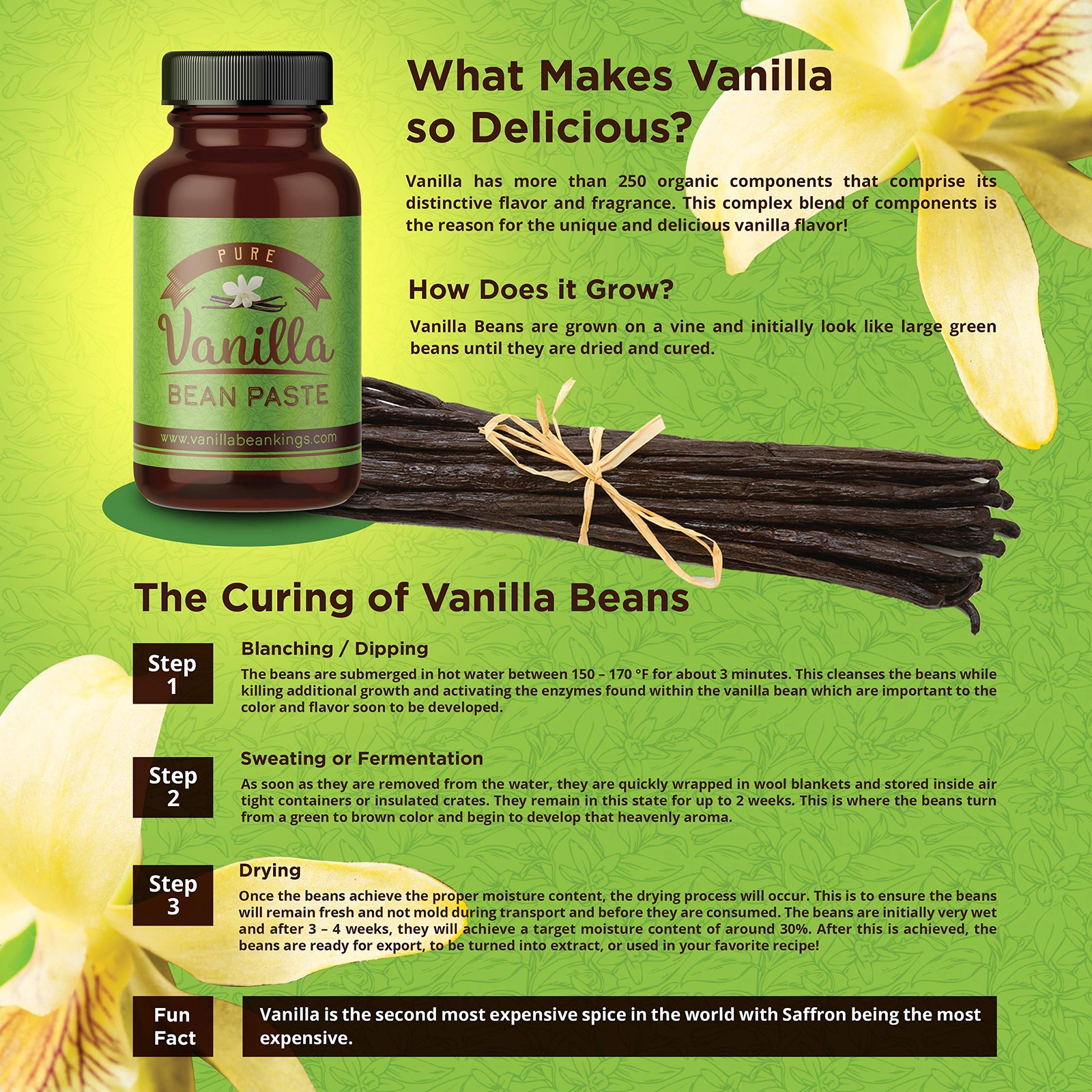 Vanilla Bean Paste for Baking and Cooking – Gourmet Madagascar Bourbon Blend …